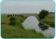 Guided Walk